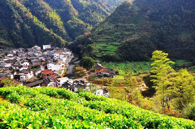 婺源免费景点