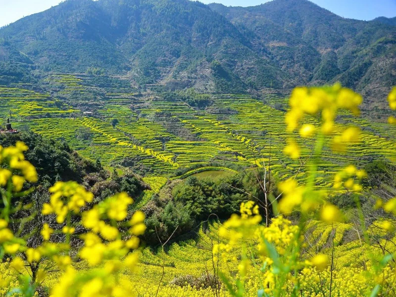 婺源自驾一日游